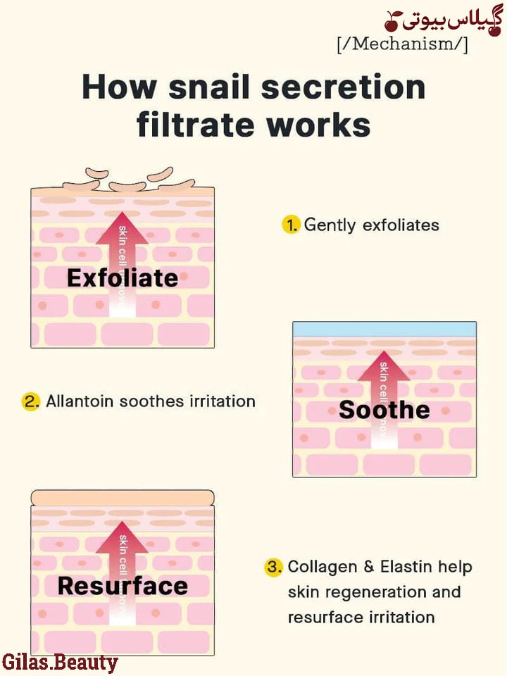 اسنس حلزون کوزارکس (100 میل) اورجینال