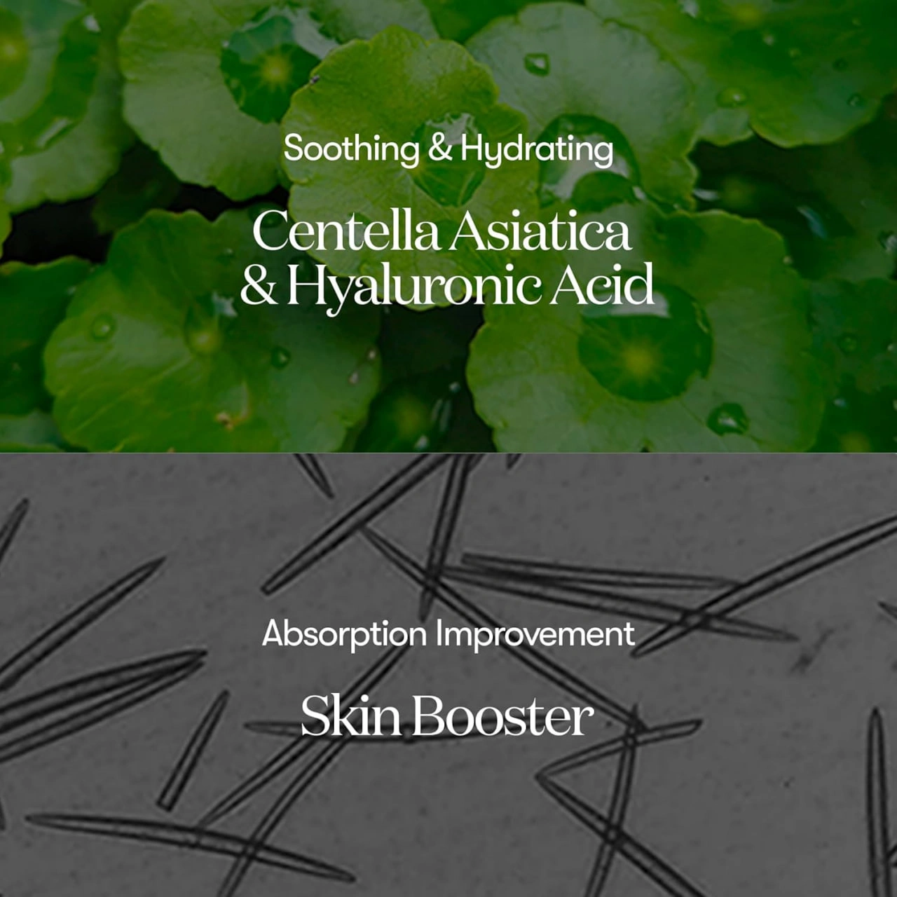 خرید و قیمت سرم ریدل شات ۱۰۰ وی تی میکرونیدلینگ محصول اصل کرهای 50mil